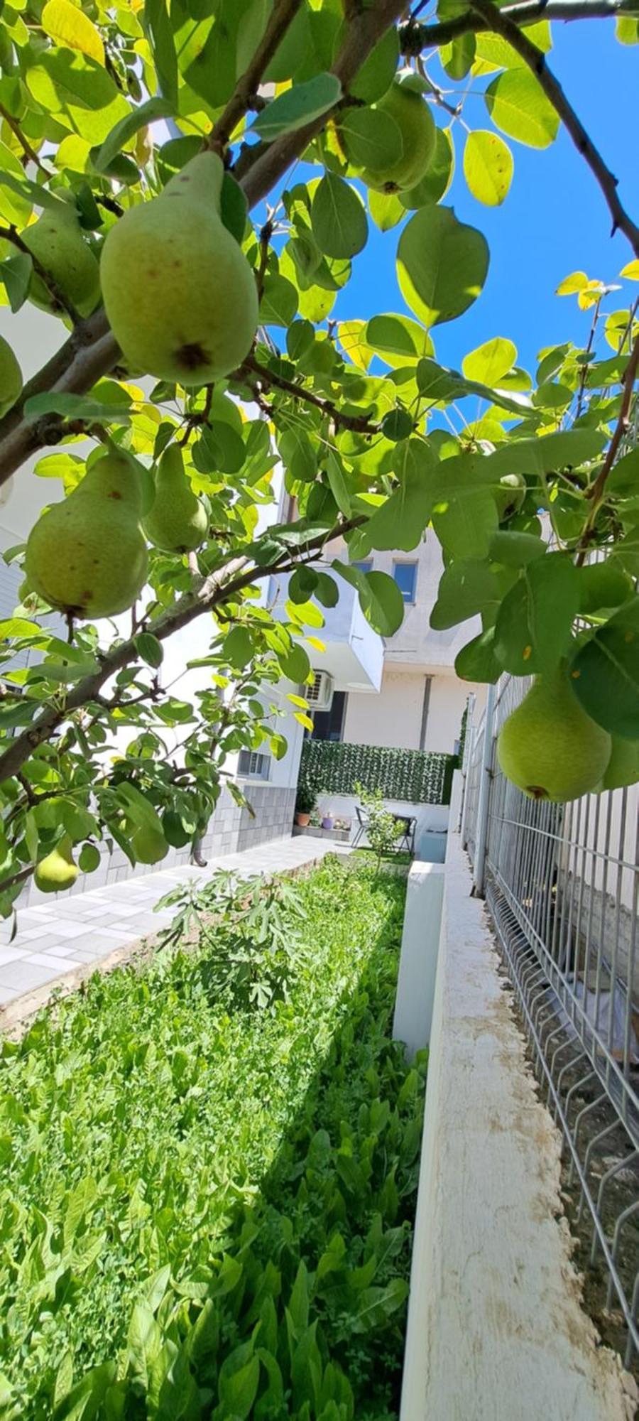 Villa Likaj Berat Phòng bức ảnh
